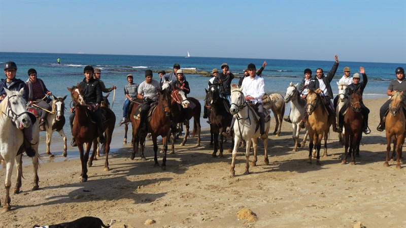 IMG_0496 - עותק_800x449