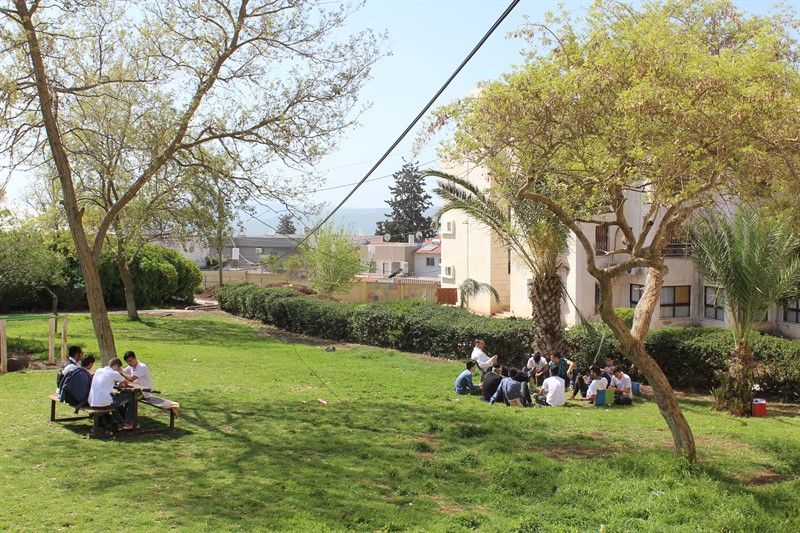 IMG_0976 (1)_800x533