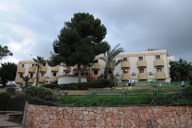 DSC_7343_800x531 (1)