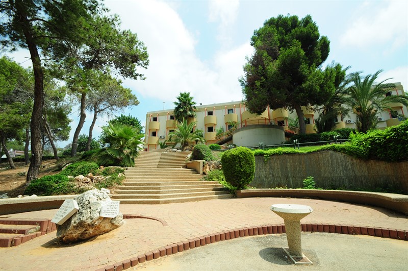 HMM_8074_800x531 (1)