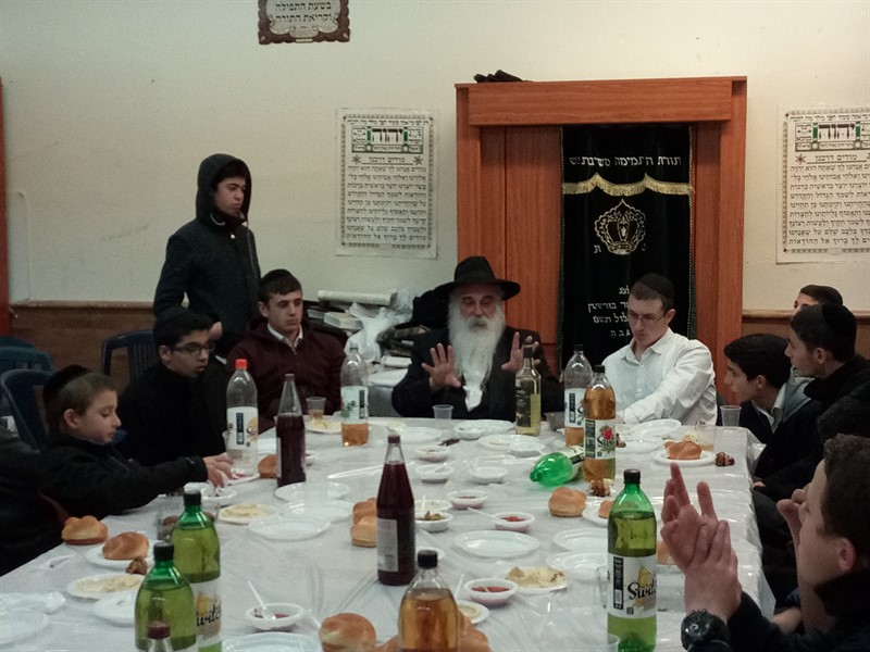 IMG_20170201_230334_800x600 (1)