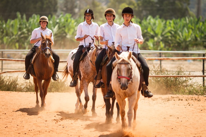 _MG_0687_800x533 (1)