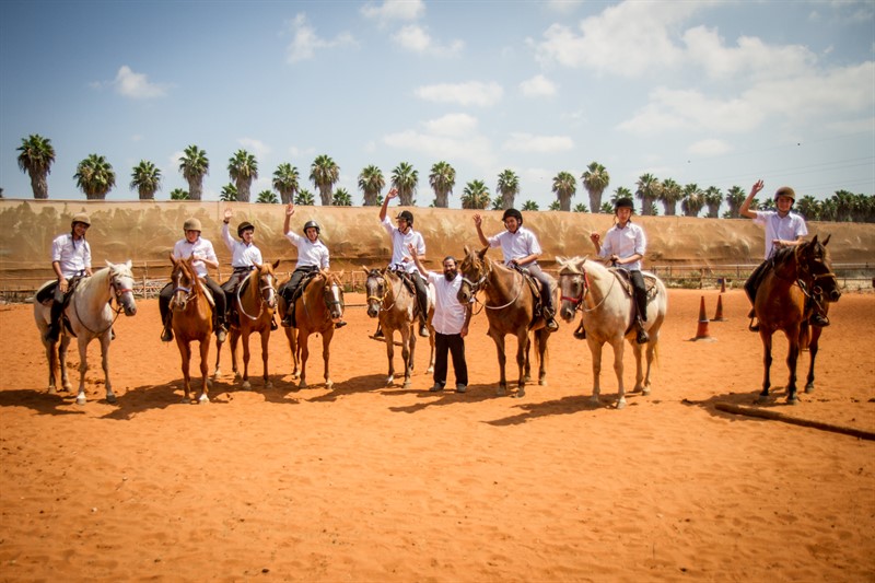 _MG_0694_800x533 (1)