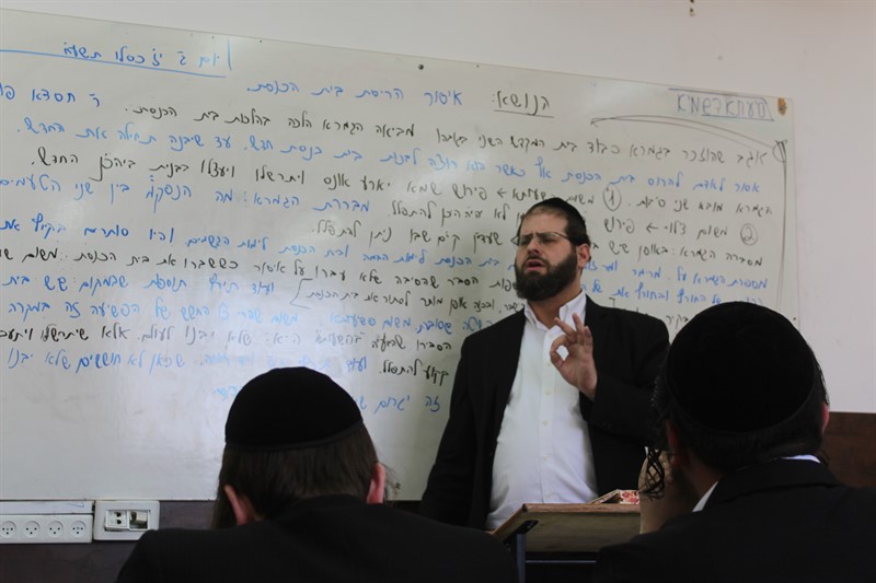 IMG_3172 (2)_800x533