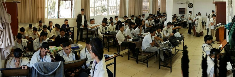 aaa89fdc-5079-4ff0-abfc-698ed0d8d718_800x263