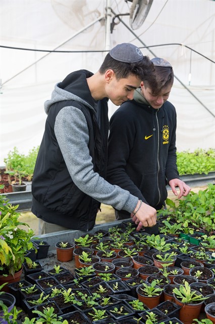 WhatsApp Image 2018-07-03 at 1.55.20 PM_426x640