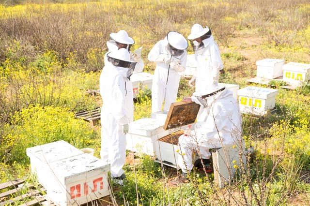 WhatsApp Image 2018-07-03 at 1.55.33 PM_640x426