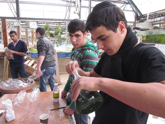 WhatsApp Image 2018-07-03 at 1.55.34 PM (3)_640x480